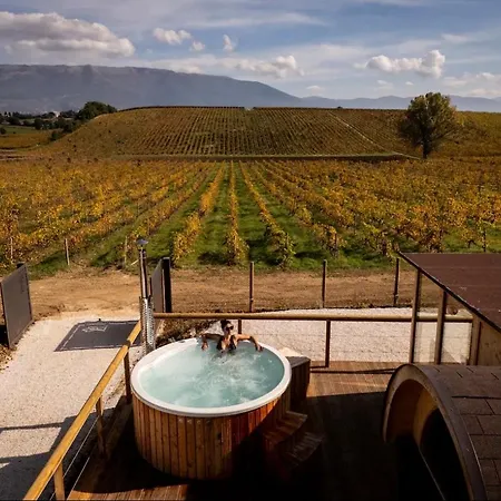 Ampelos Wine * Gallo